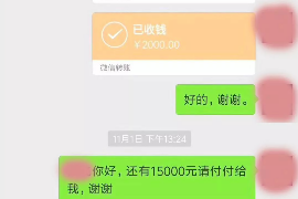 寻甸为什么选择专业追讨公司来处理您的债务纠纷？